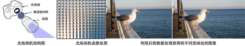 ⳡ