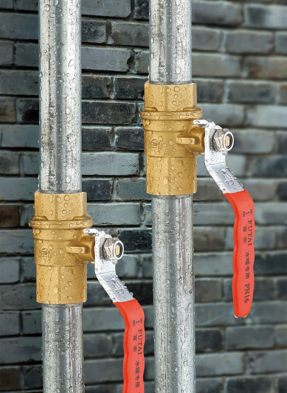 ����ϵ��